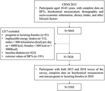 Longitudinal relationship between body fat percentage and risk of type 2 diabetes in Chinese adults: Evidence from the China Health and Nutrition Survey